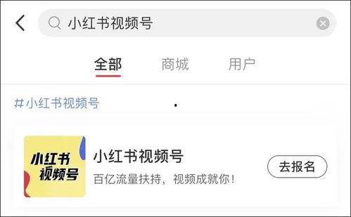 头条上吃播,揭秘热门吃播背后的美食魅力