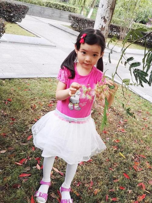 明星王星宇,王星宇的璀璨星途