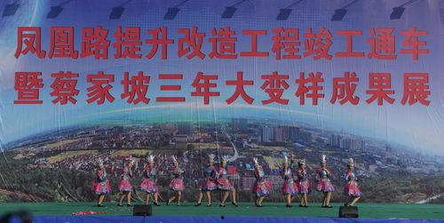 蔡家坡西五今日头条,聚焦热点事件，洞察社会动态”