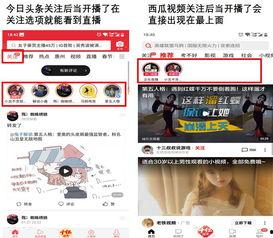 今日头条直播无法关注,“今日头条直播关注失败？揭秘关注难题及解决方法！”