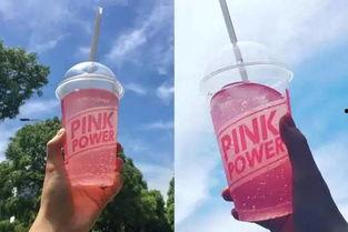 网红可乐熊喵,网红萌宠的甜蜜魅力