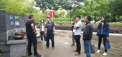 麒麟区龙岗镇新闻头条,聚焦乡村振兴，共绘美好蓝图