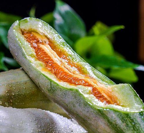 黄河脆瓜熟了吃吗