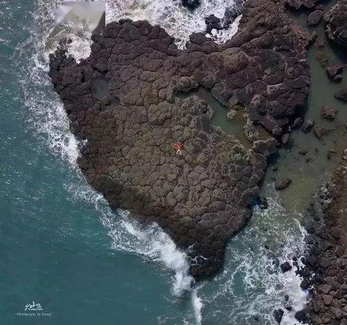 喷气网红陈丝丝,揭秘网红背后的励志人生