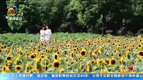 花海网红打卡售楼处图片,网红打卡新地标，诗意盎然引关注