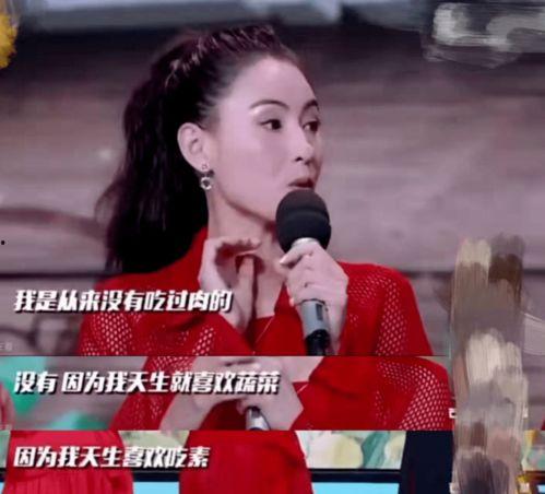 明星人设的文化自信,明星人设与文化自信的完美融合