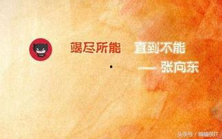 今日头条人数怎么上涨,揭秘人数飙升背后的秘密