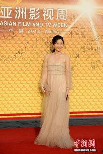 影视明星周,影视界的璀璨明星