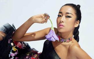 亚洲明星坎迪王,亚洲娱乐界的璀璨明星