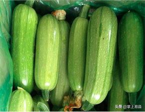 月子可以吃西葫芦瓜,西葫芦瓜的营养益处与食用指南