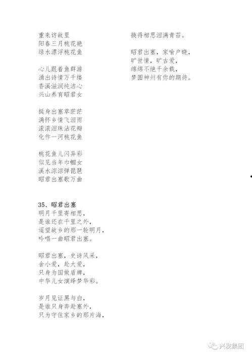 网红歌词琵琶,网红歌词中的古韵风情