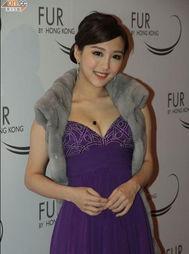 陈静 明星,星光璀璨的影视界璀璨明珠