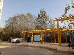 雄县滨河吃瓜,吃瓜群众的欢乐时光