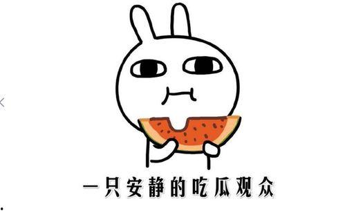 对瓜瓜吃瓜审美批评,揭秘网络审美批评的趣味与争议