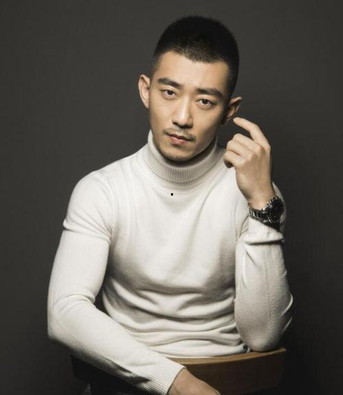 明星王韬,星光璀璨的演艺之路