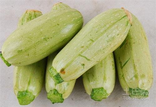 生瓜自己吃,生瓜的种植与品尝之旅