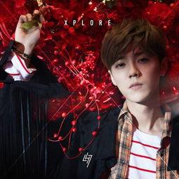 鹿晗明星恋爱小说,明星甜蜜爱恋记