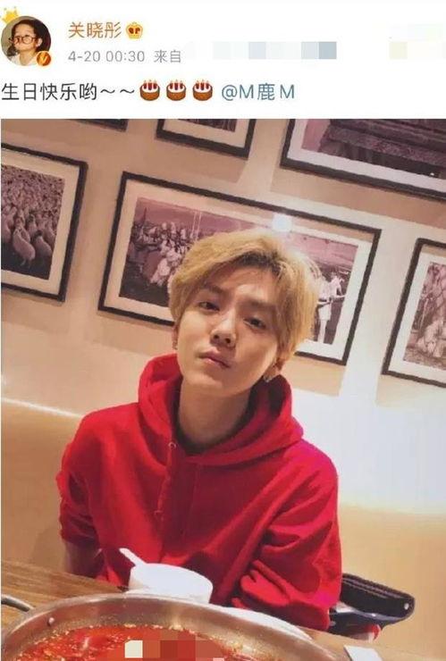 鹿晗爆料视频大全集,揭秘明星背后的真实生活