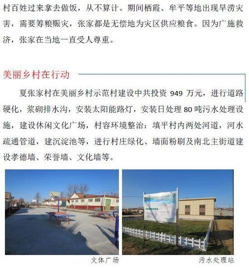 沙河村最新爆料事件,揭秘事件背后惊人真相