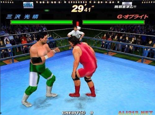 日本摔跤吃瓜,吃瓜群众眼中的精彩对决