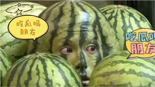 吃瓜比赛搞笑视频完整版免费观看,笑翻天！吃瓜比赛搞笑视频完整版免费大放送